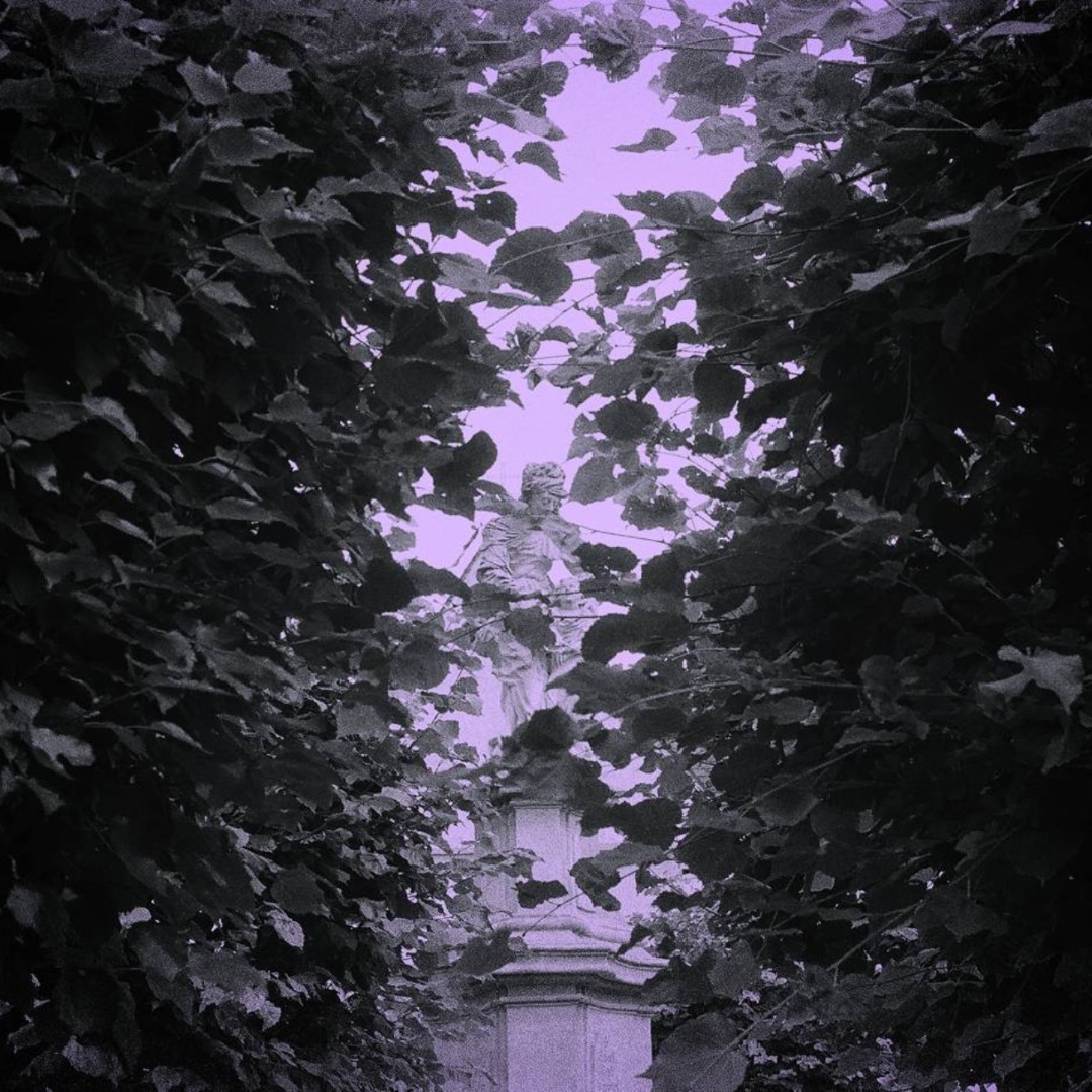 A sculpture hidden between trees